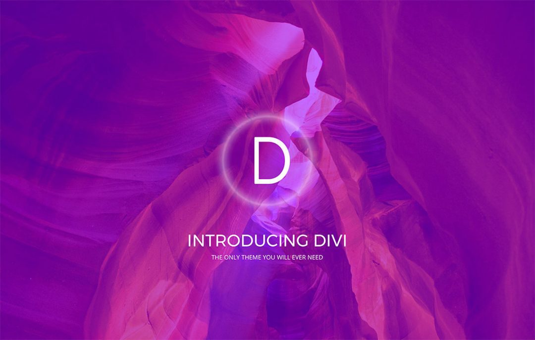 divvi-1080x687-1 WordPress theme